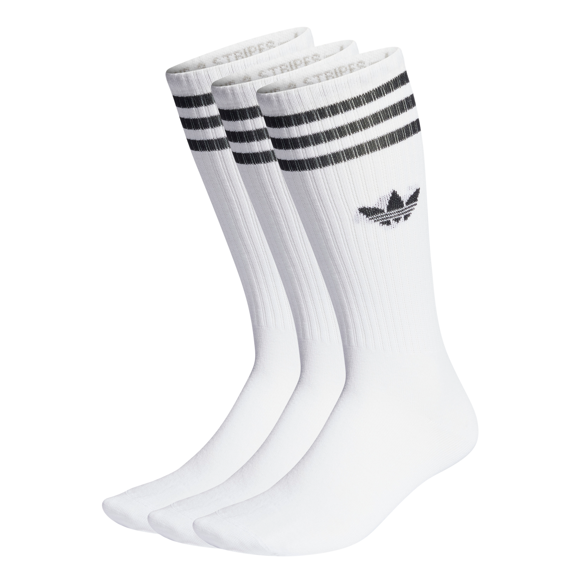 Solid Crew 3 Pairs Sock