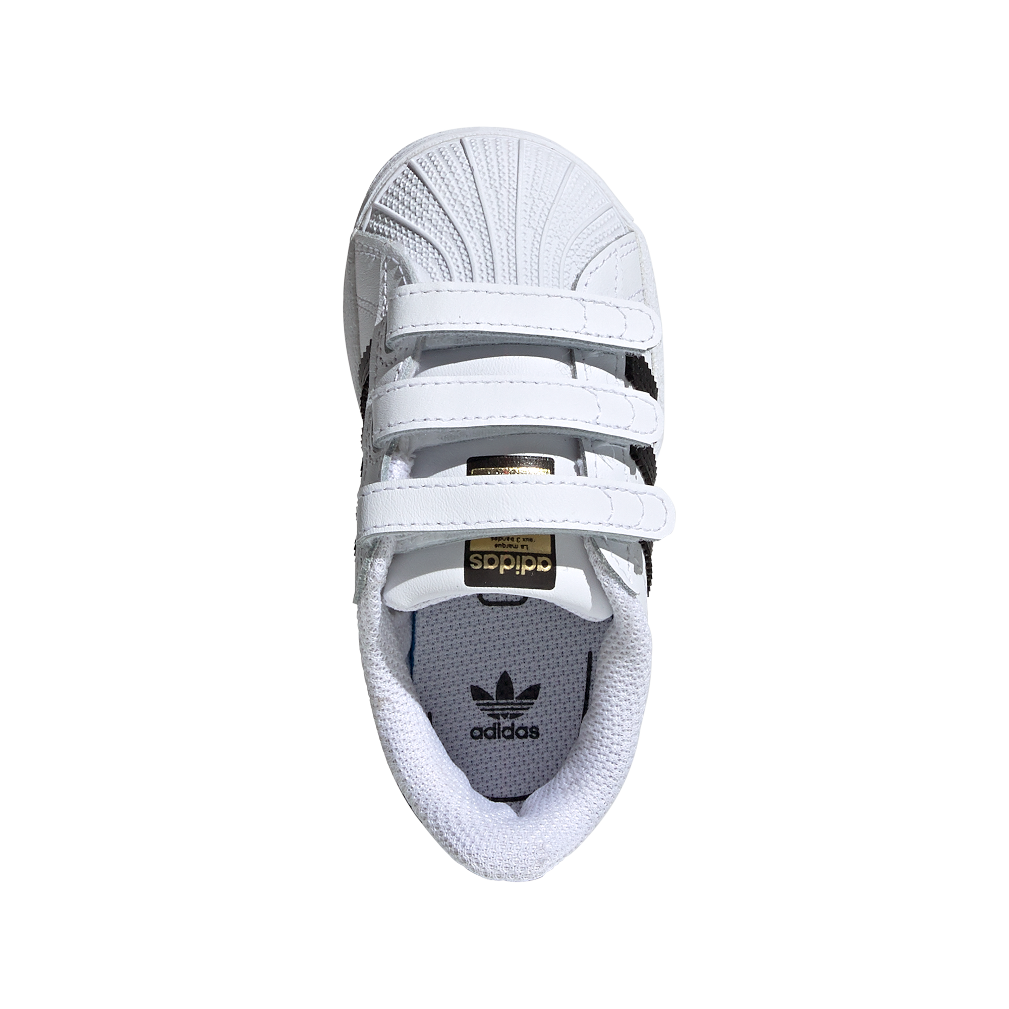 Infants Superstar Shoe