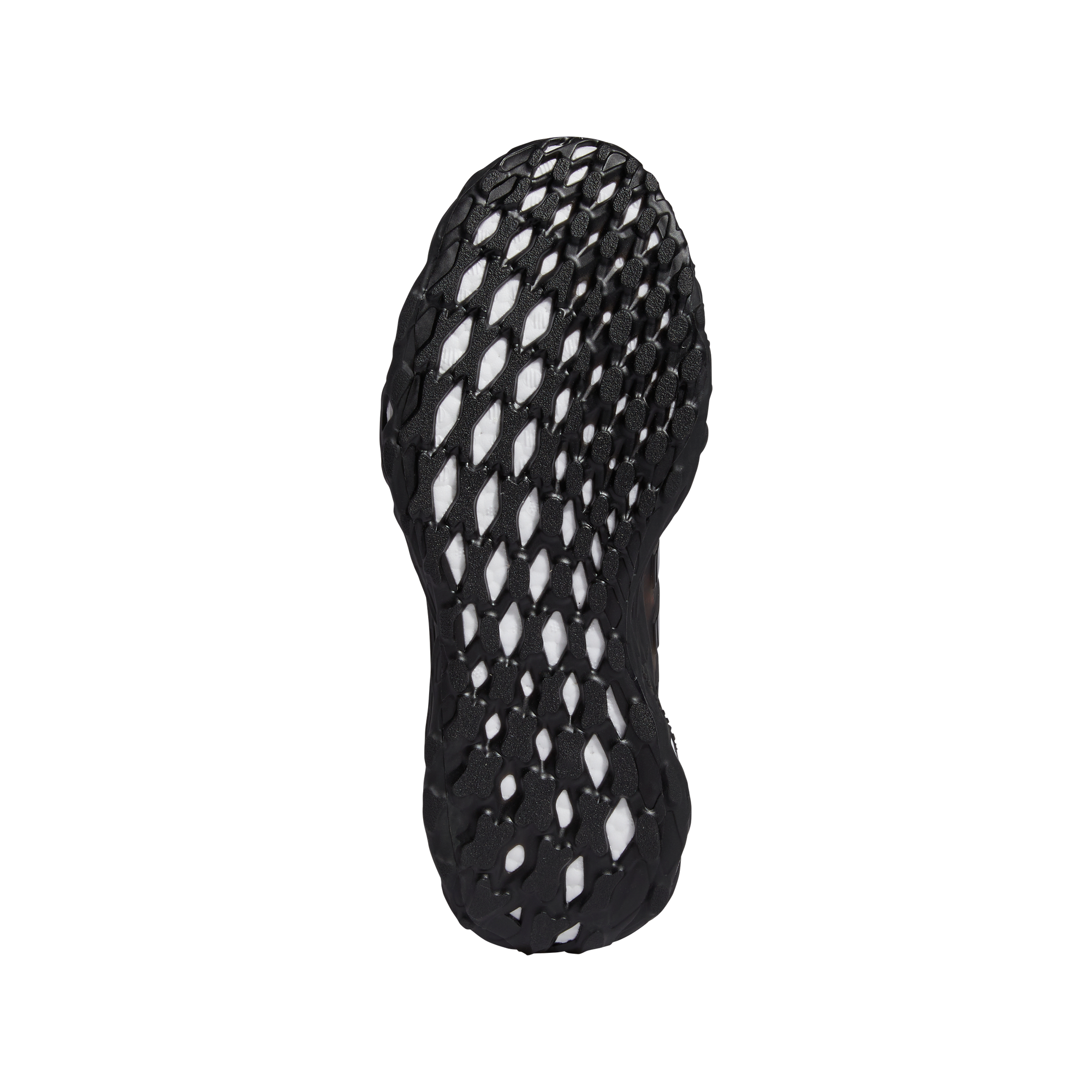 Mens Ultraboost Web DNA Shoe