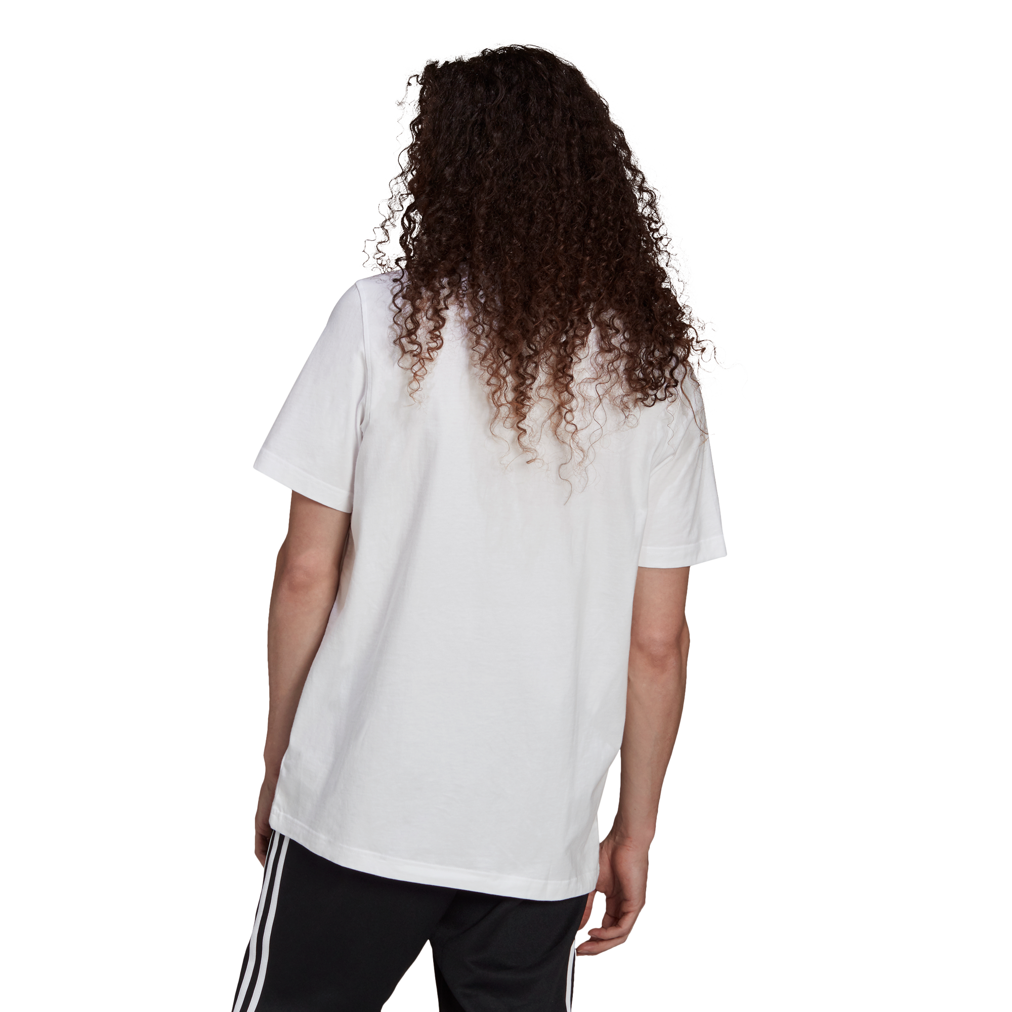 Mens Adicolor Classic Trefoil Short Sleeve T-Shirt