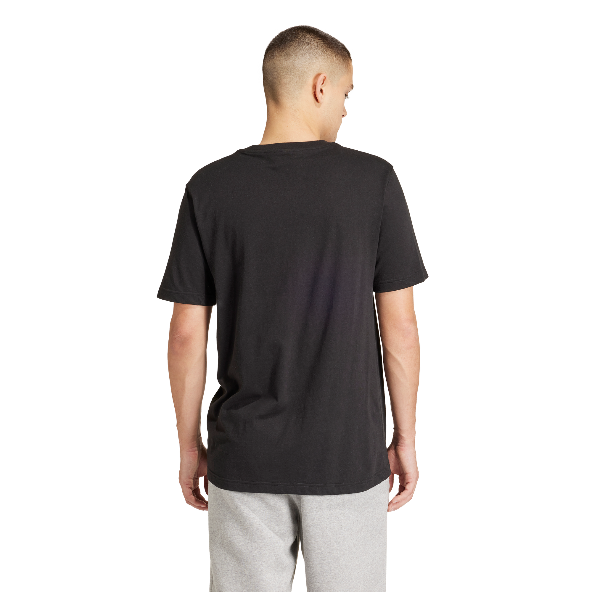 Mens Essential Short Sleeve T-Shirt