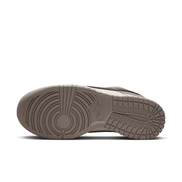 Womens Dunk Low Shoe